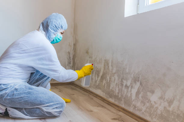 Crawl Space Mold Remediation treatment of floor joists in Denver
